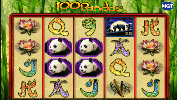 100 Pandas slot image